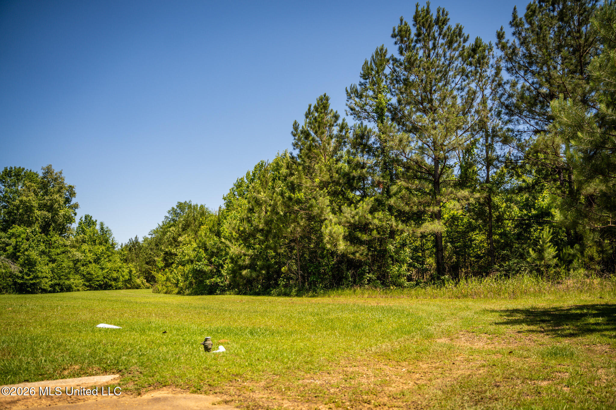 1203 Love Street Property Photo 7