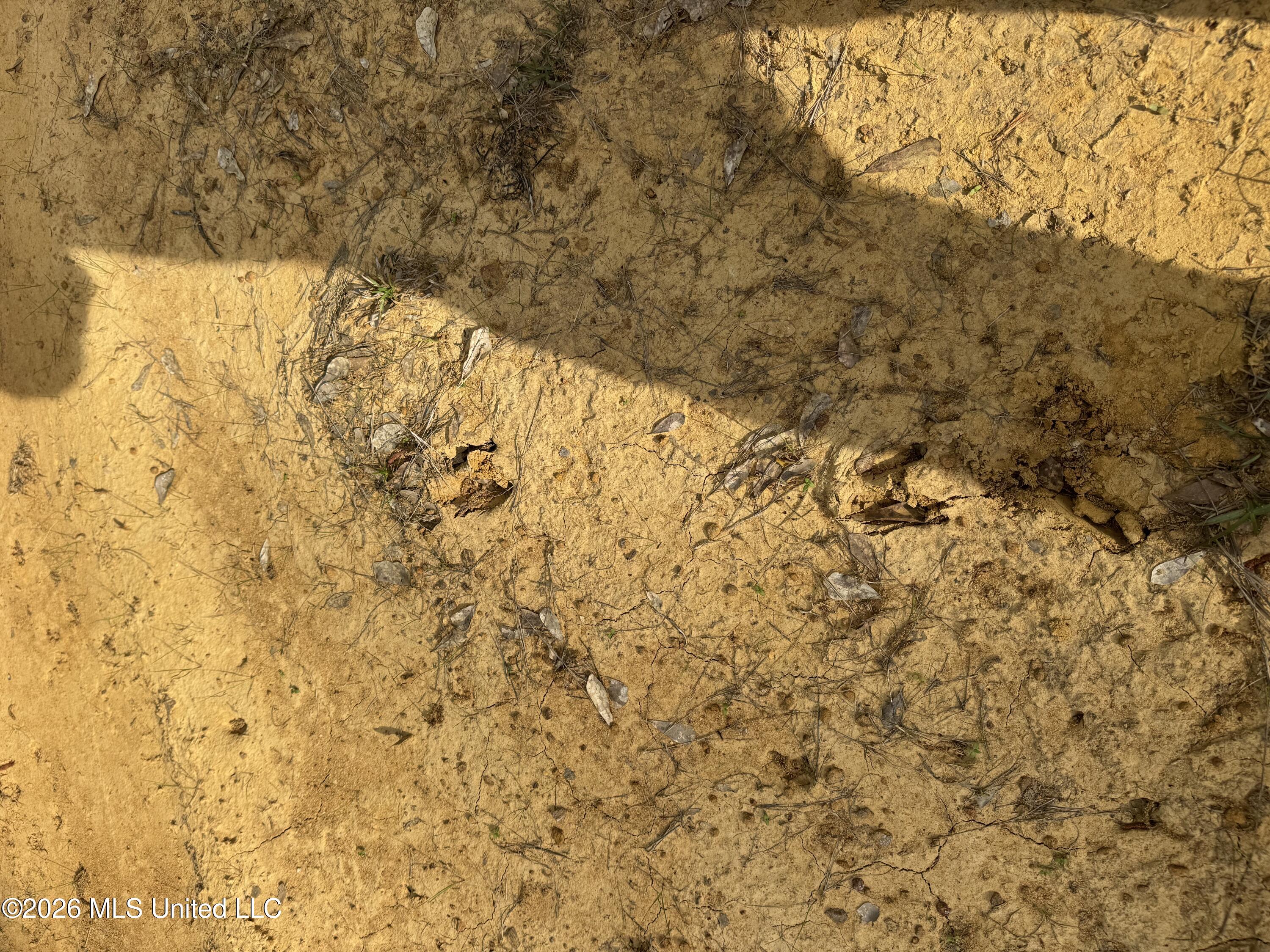 1203 Love Street Property Photo 27