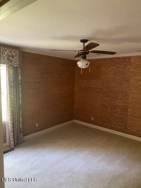 719 Cypress Creek Property Photo 13
