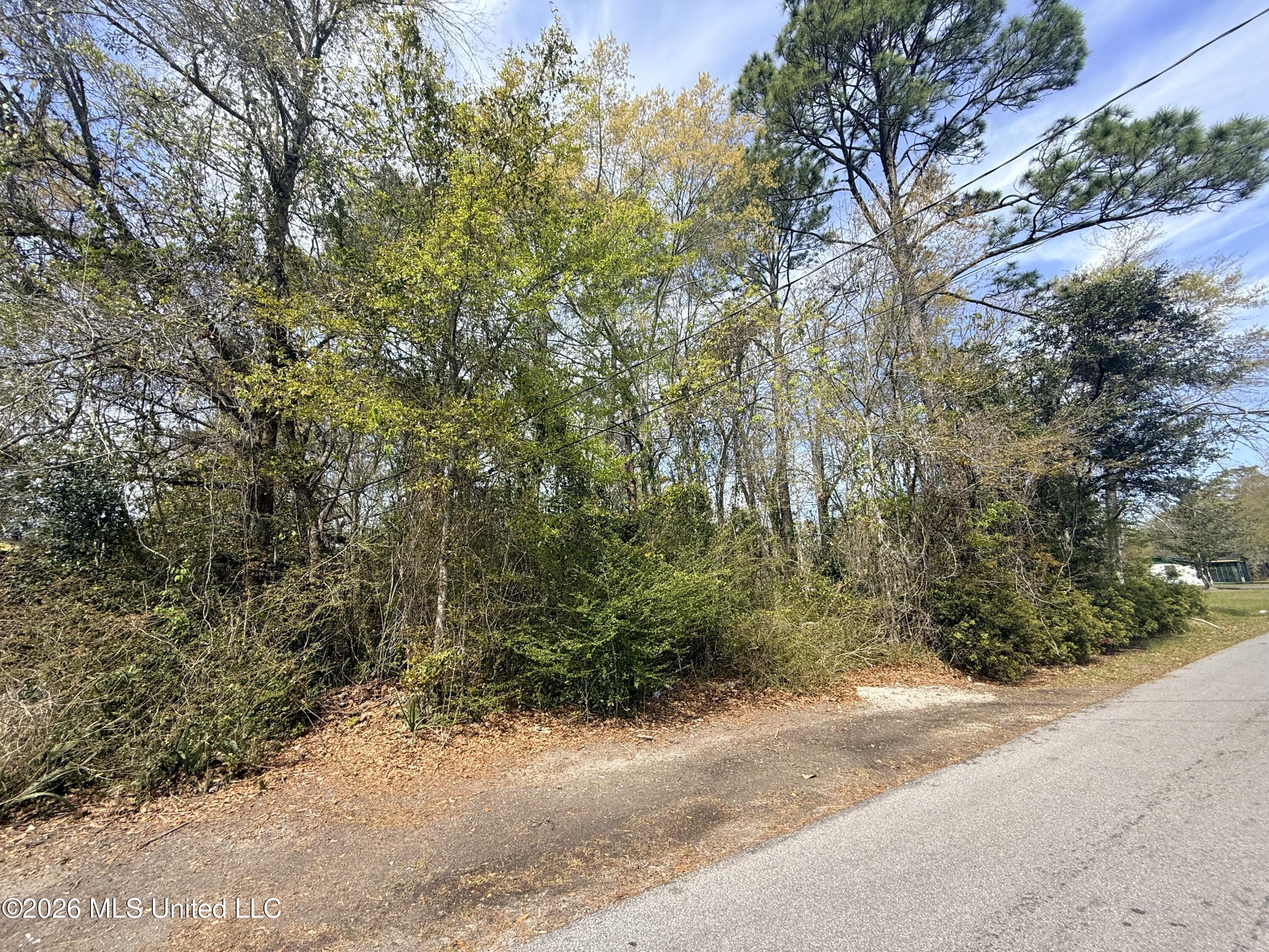 Mattson Street Property Photo 1