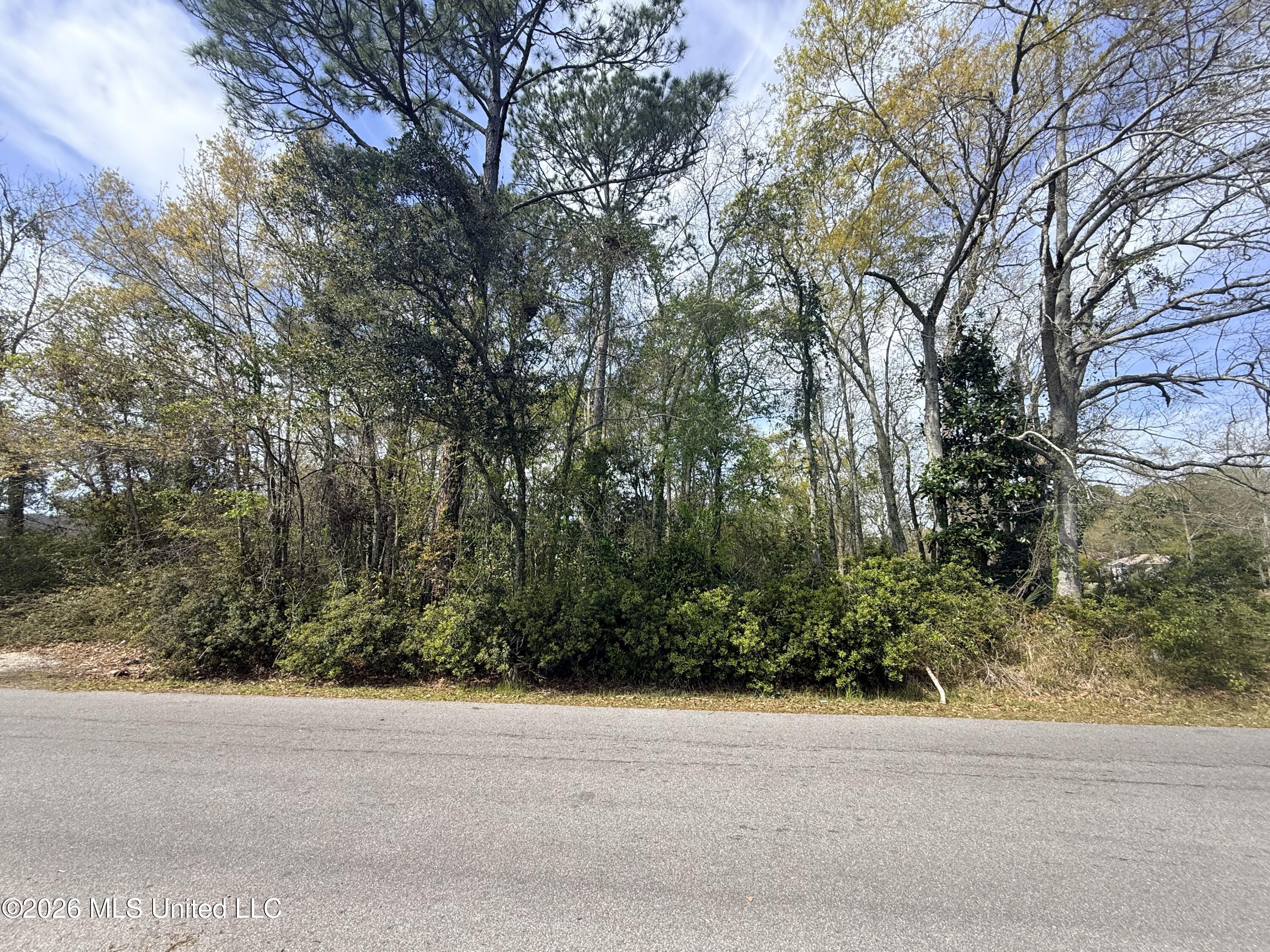 Mattson Street Property Photo 2