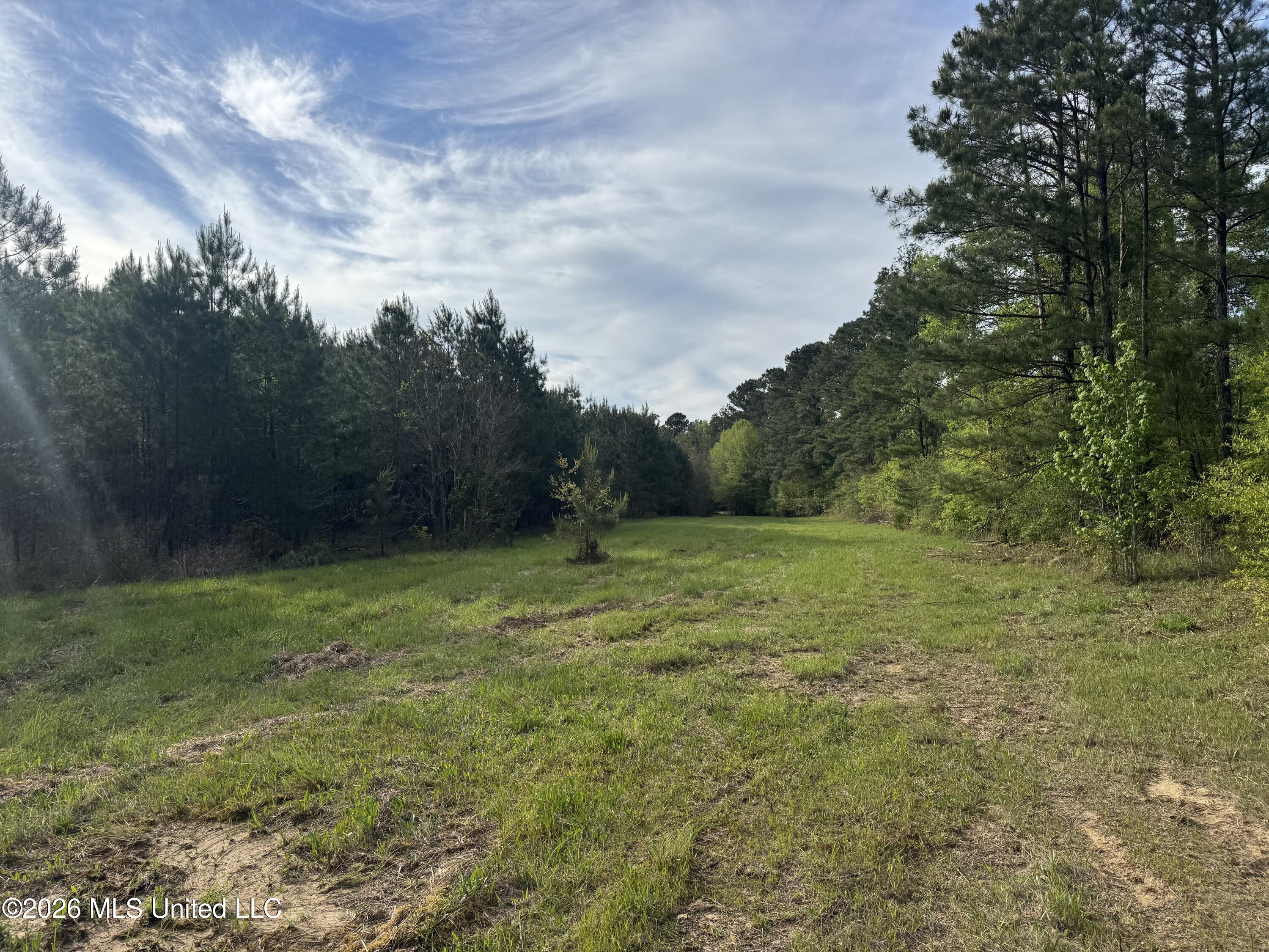 1311a N Jackson Street Property Photo 19