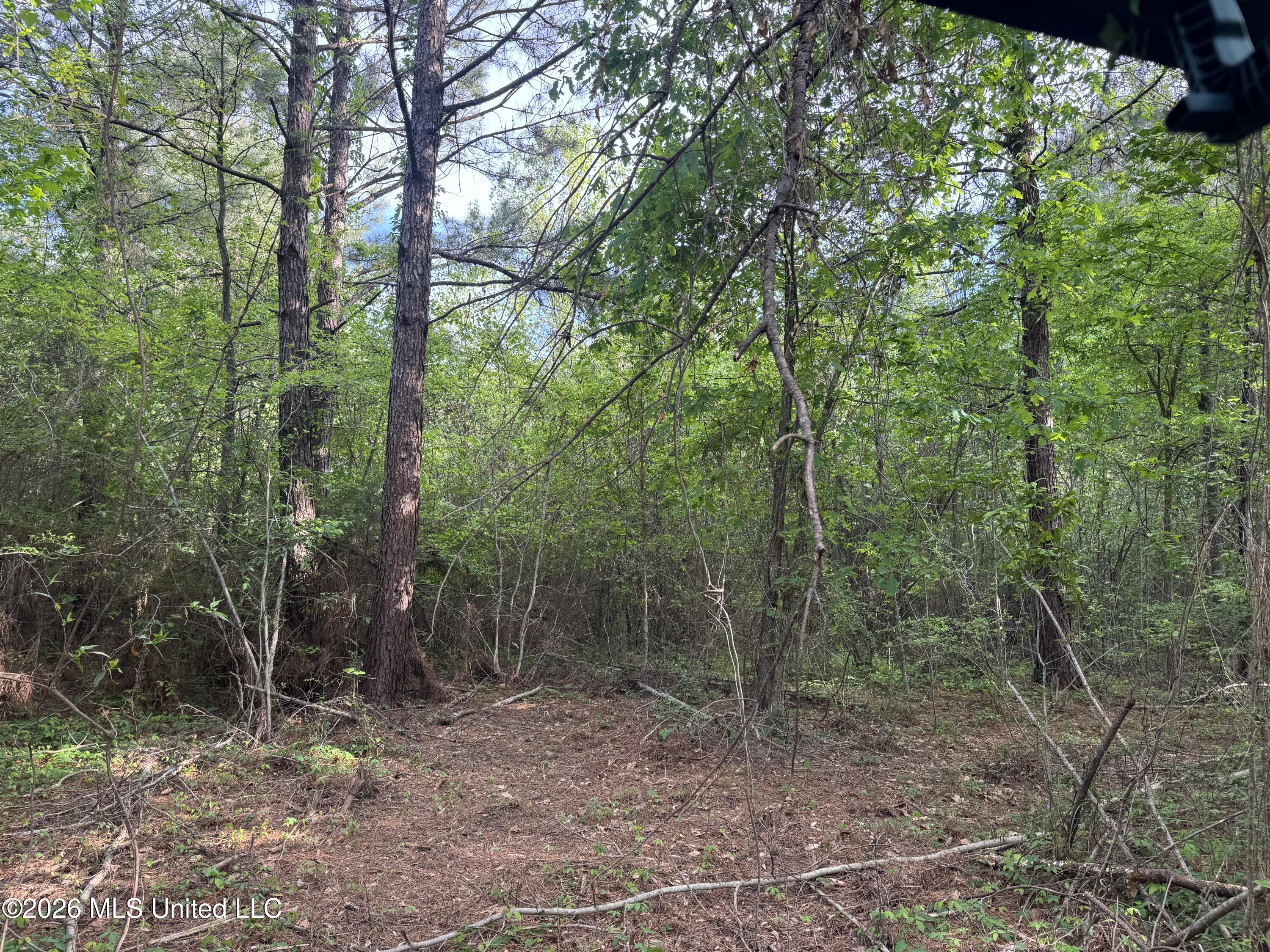 1311a N Jackson Street Property Photo 29