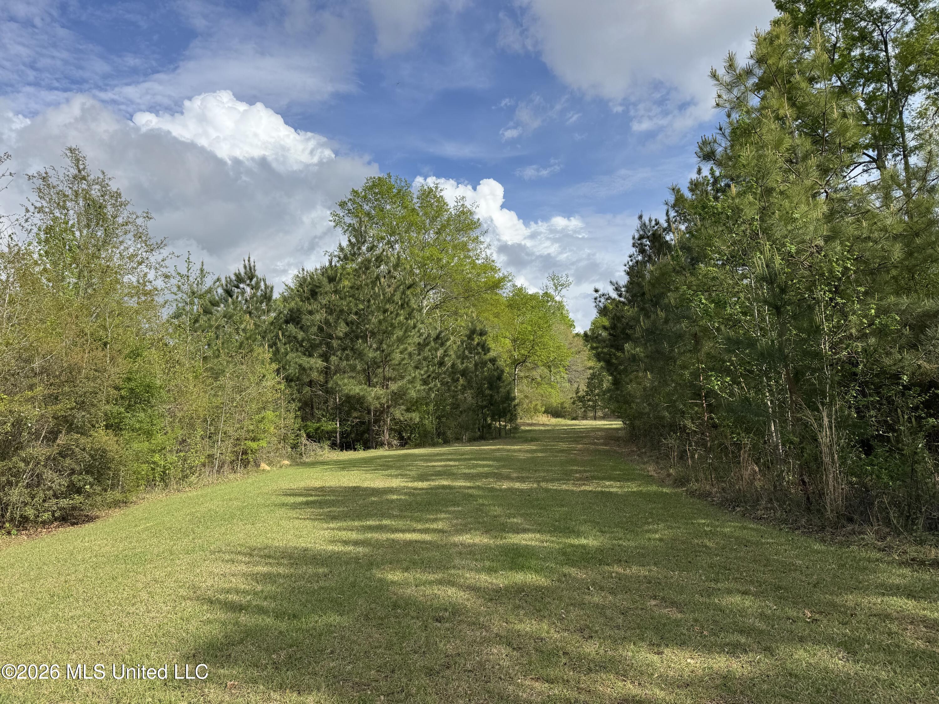 1311a N Jackson Street Property Photo 46