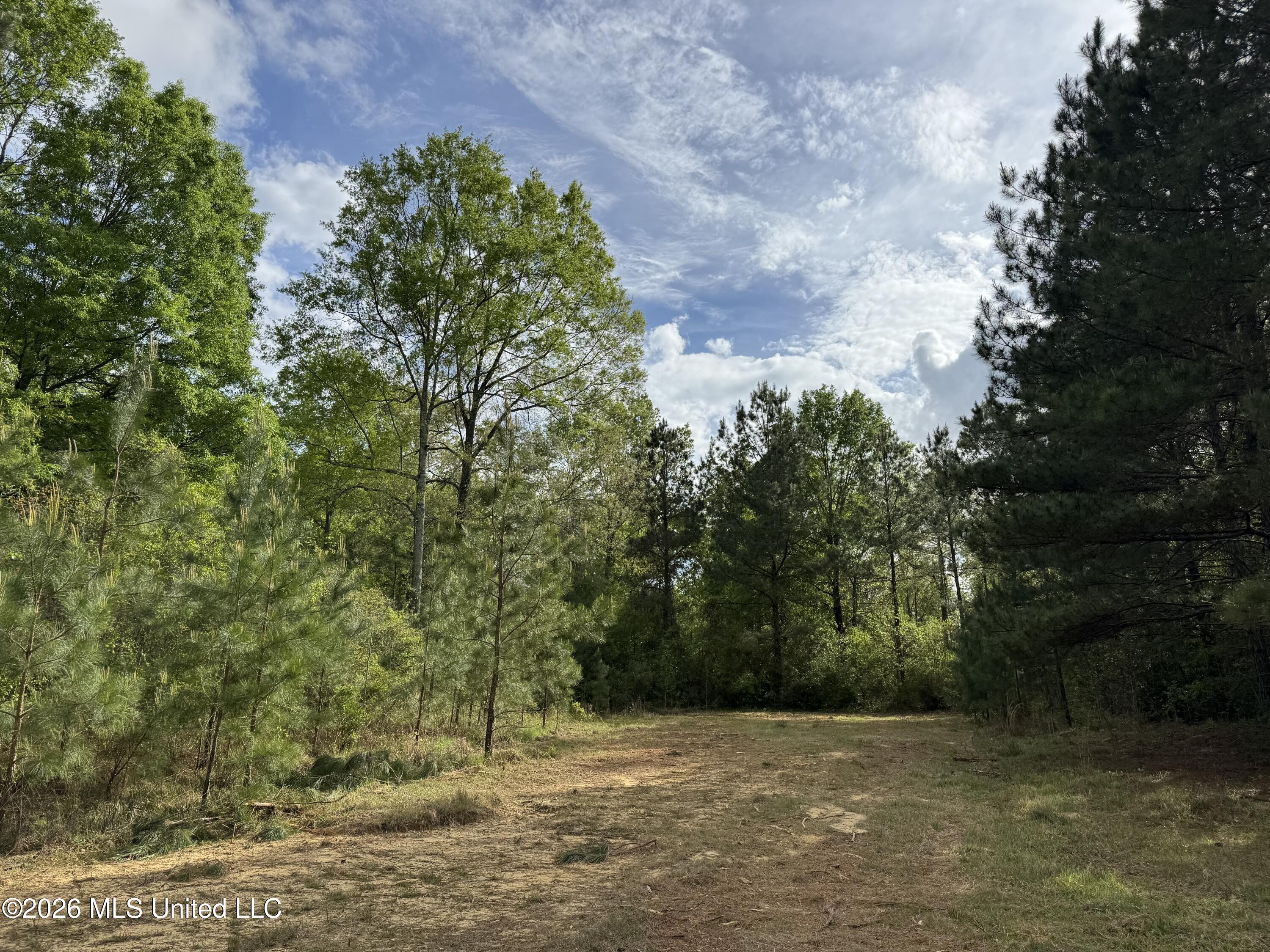 1311a N Jackson Street Property Photo 49
