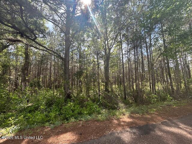 W Smith Ferry Road Property Photo 3