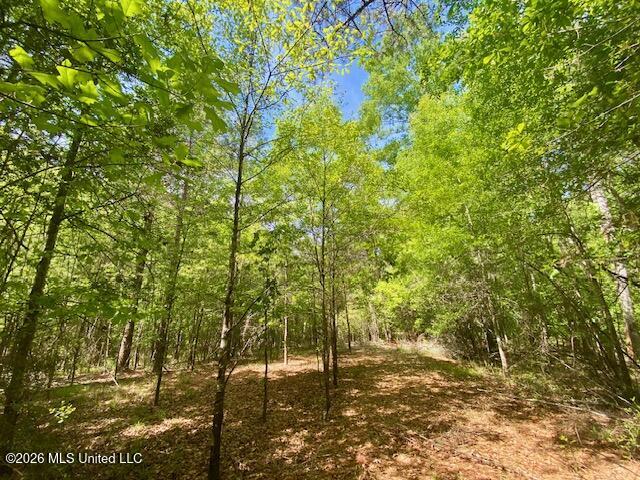 W Smith Ferry Road Property Photo 4