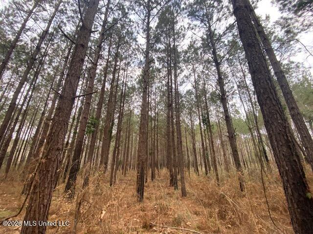 W Smith Ferry Road Property Photo 8