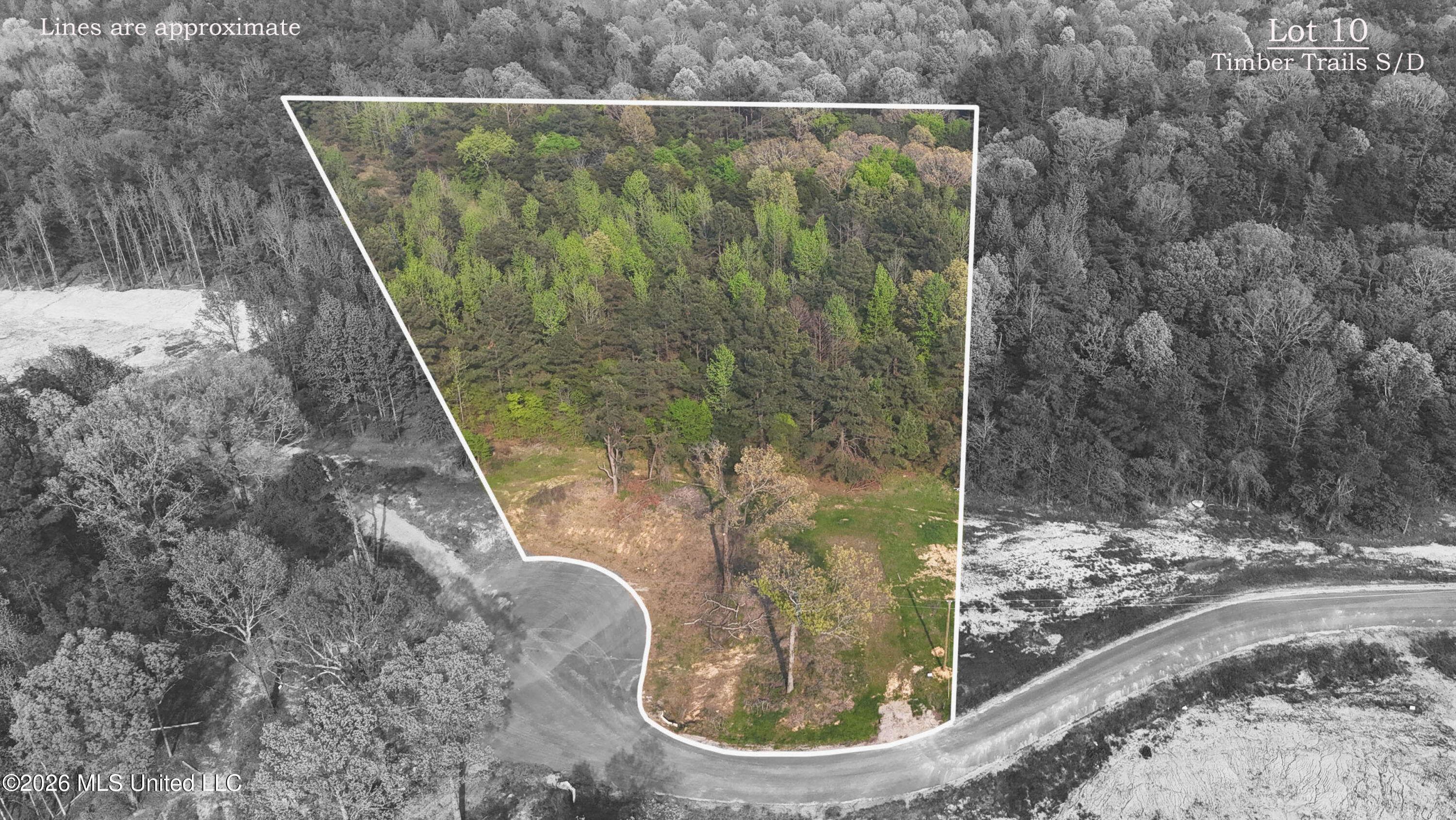 10 Tyro Branch Cove Property Photo 1