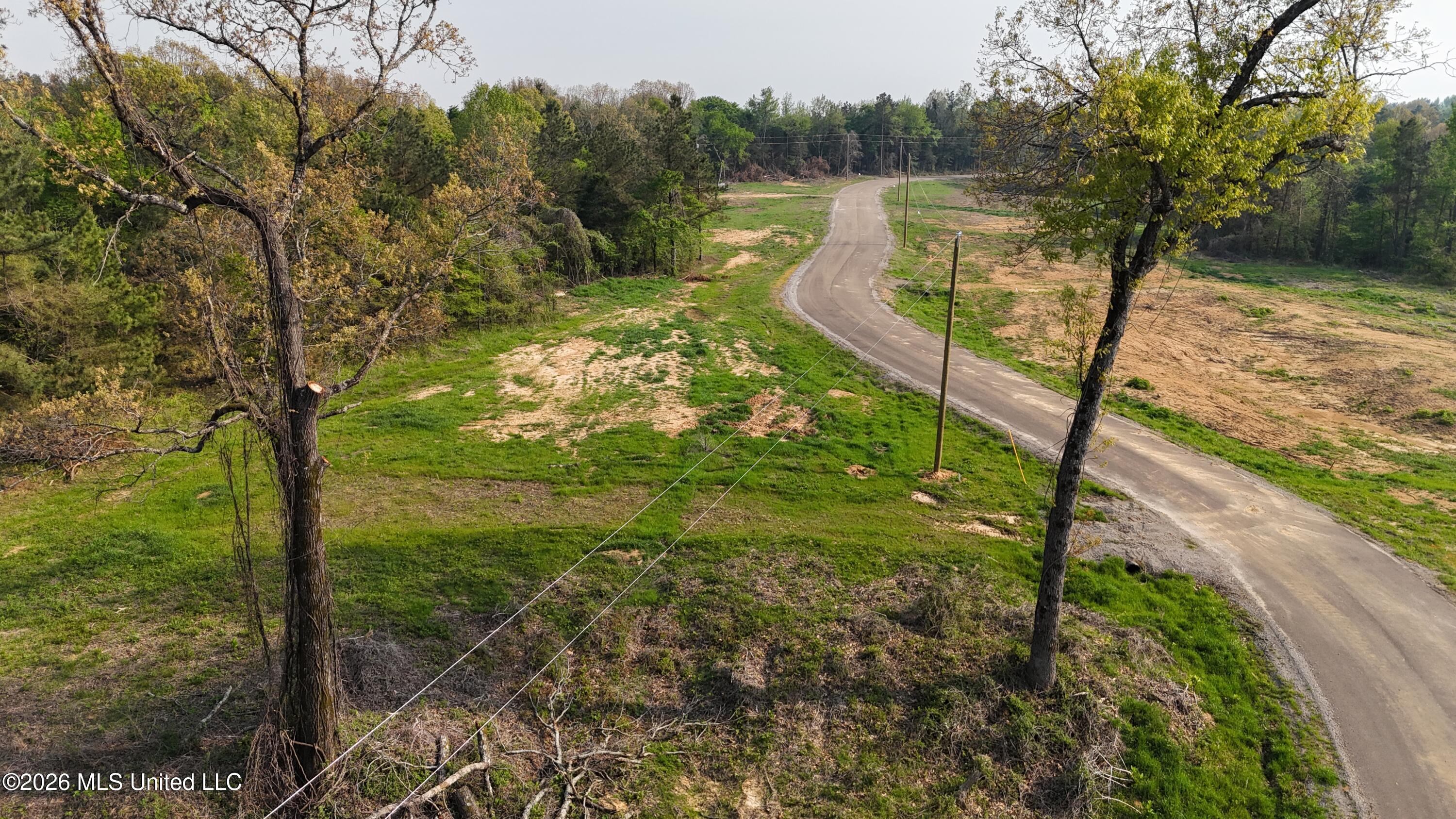 10 Tyro Branch Cove Property Photo 3