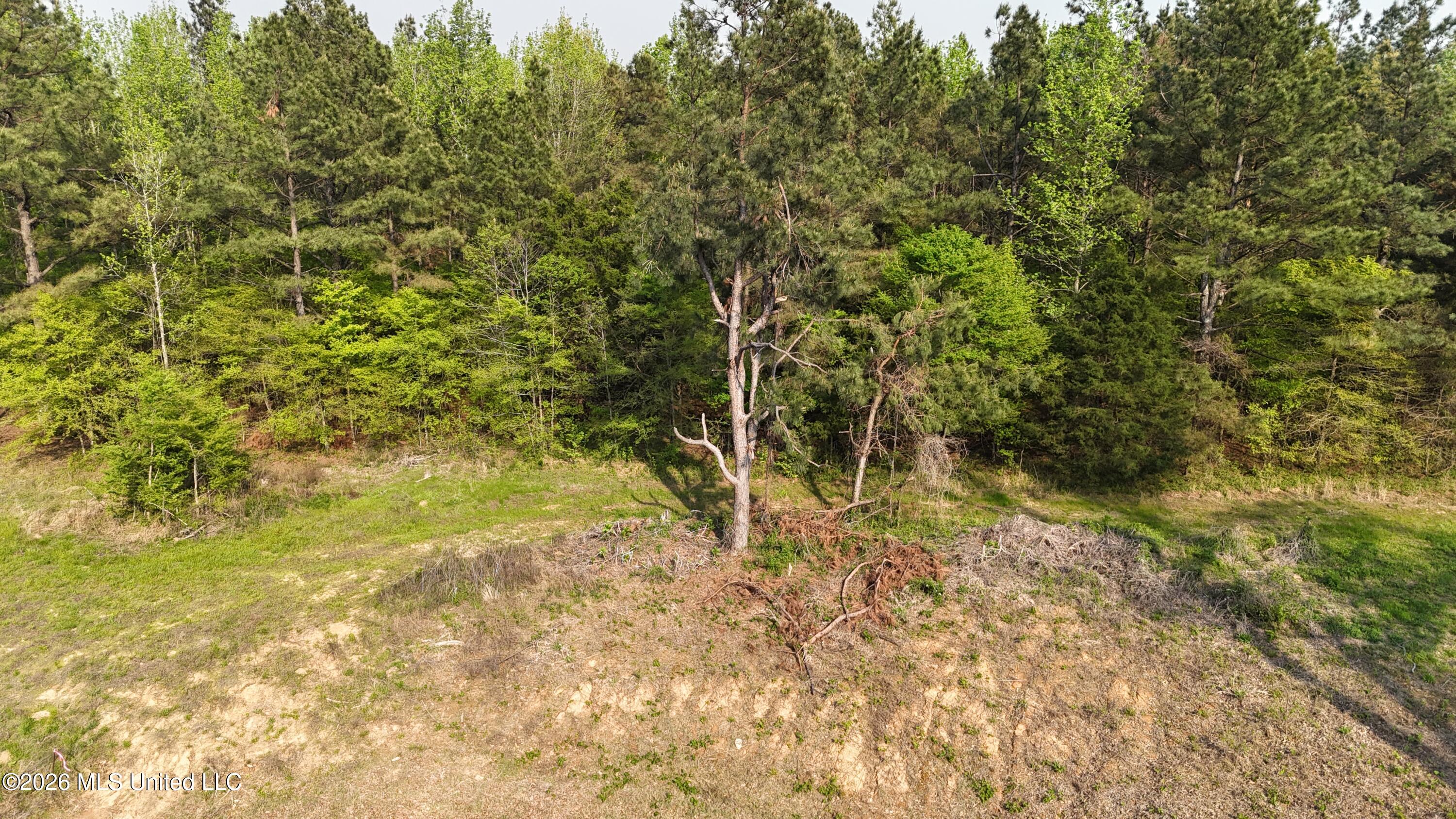 10 Tyro Branch Cove Property Photo 4