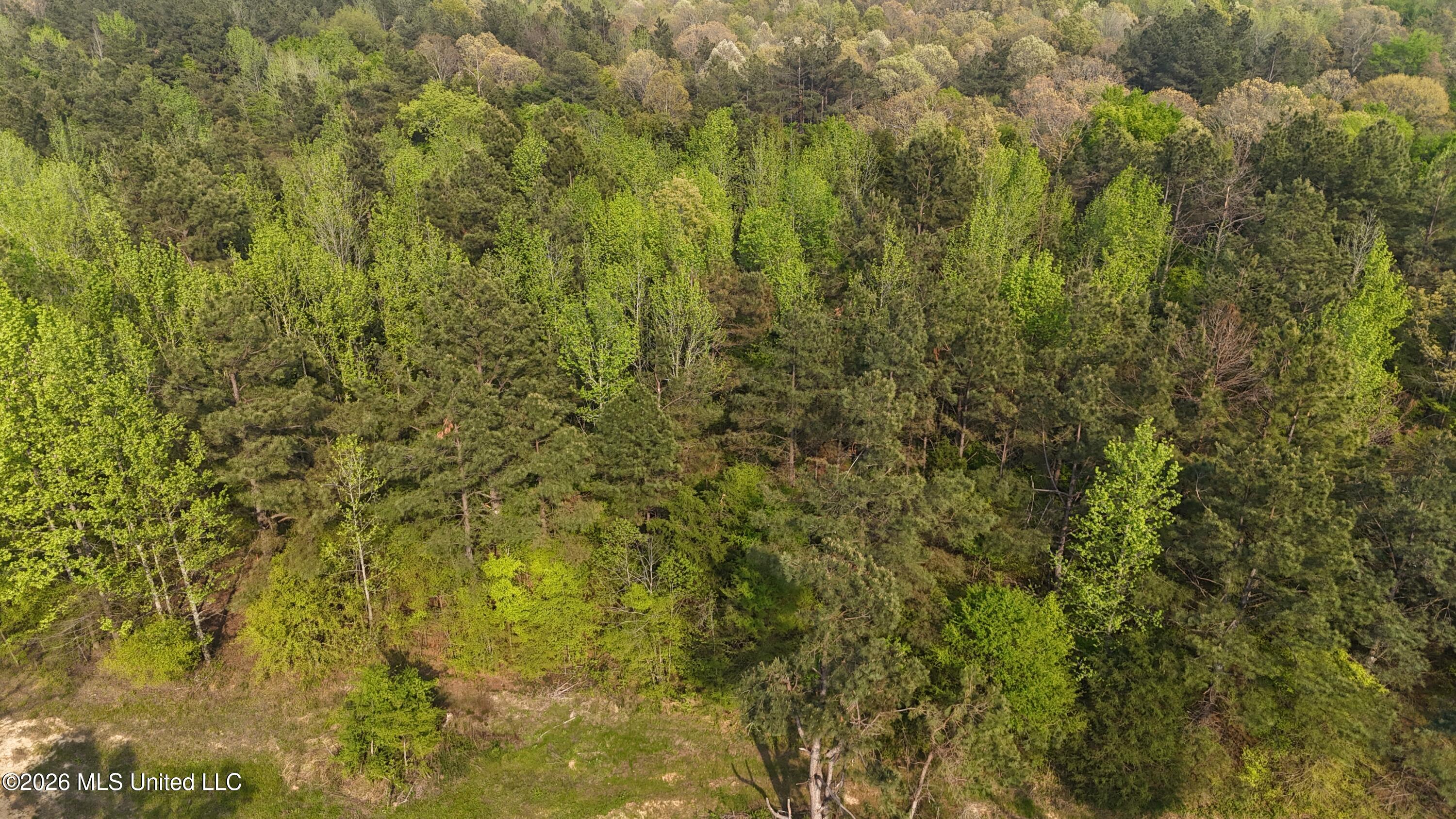 10 Tyro Branch Cove Property Photo 5