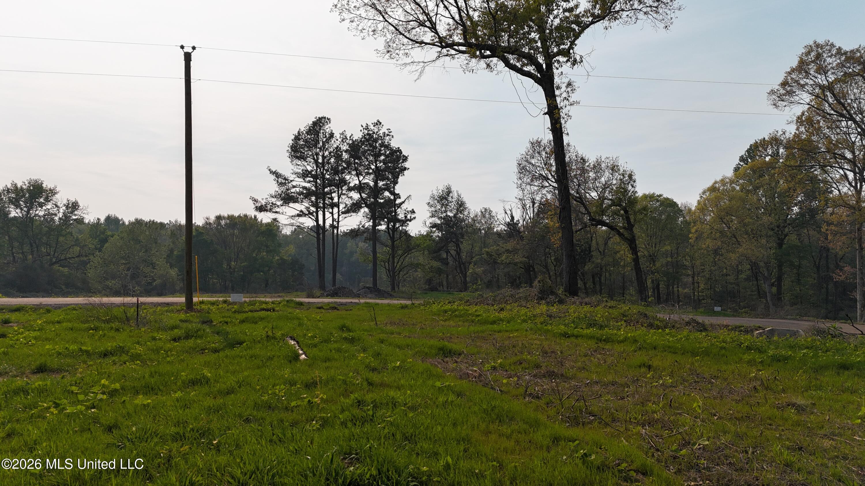 10 Tyro Branch Cove Property Photo 7