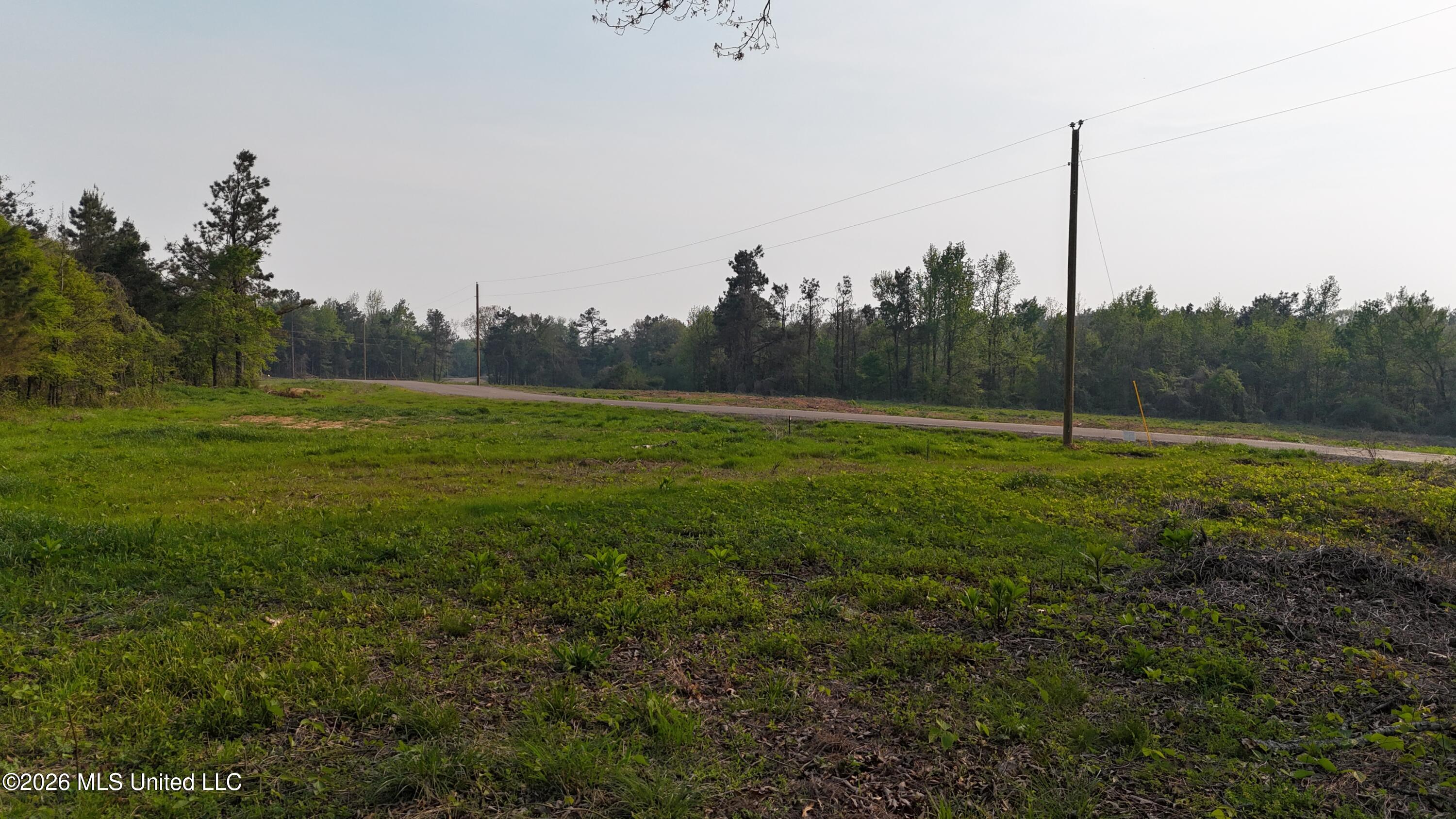 10 Tyro Branch Cove Property Photo 8