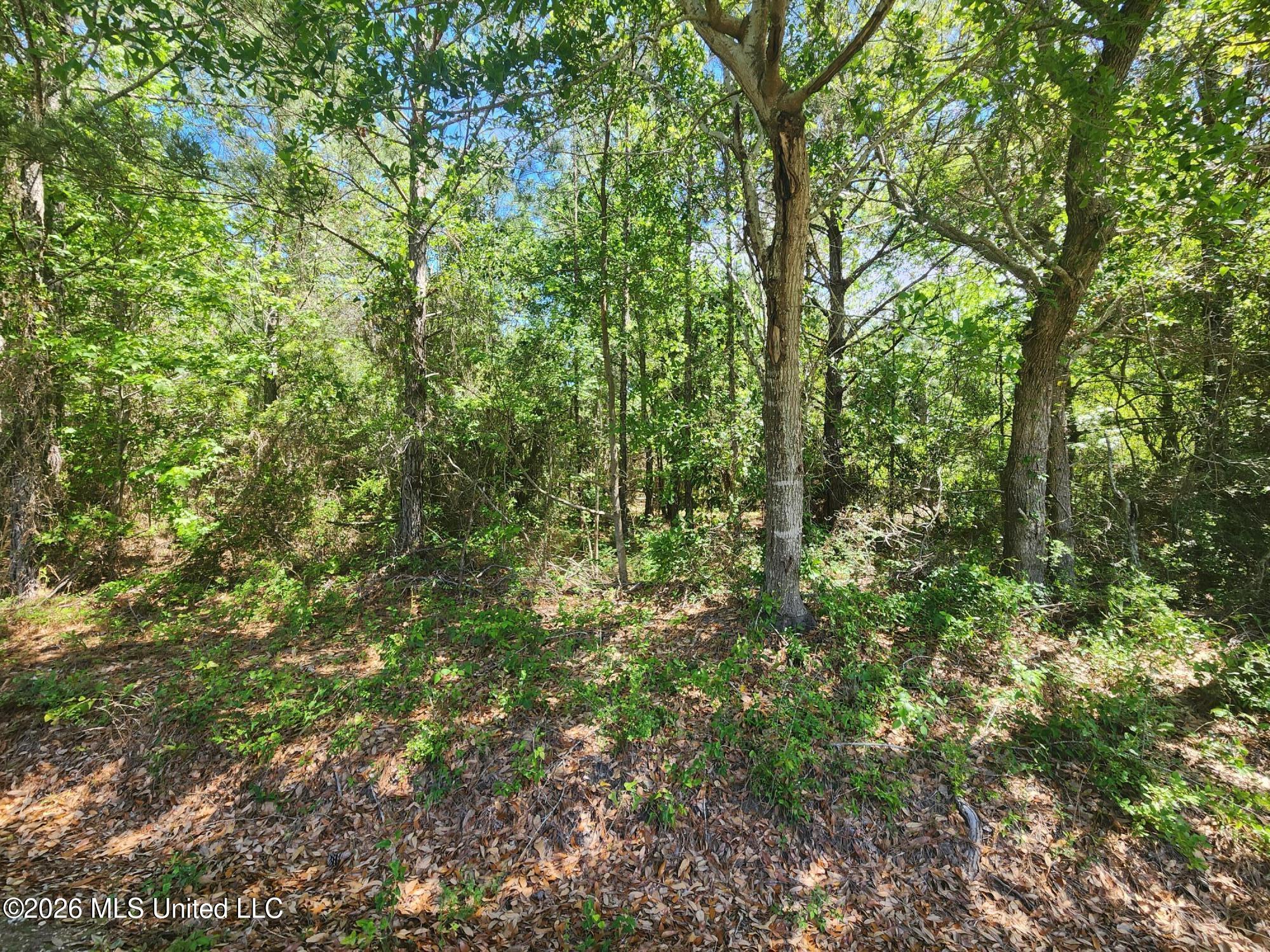 0 Lady Mary Ave Avenue Property Photo 1