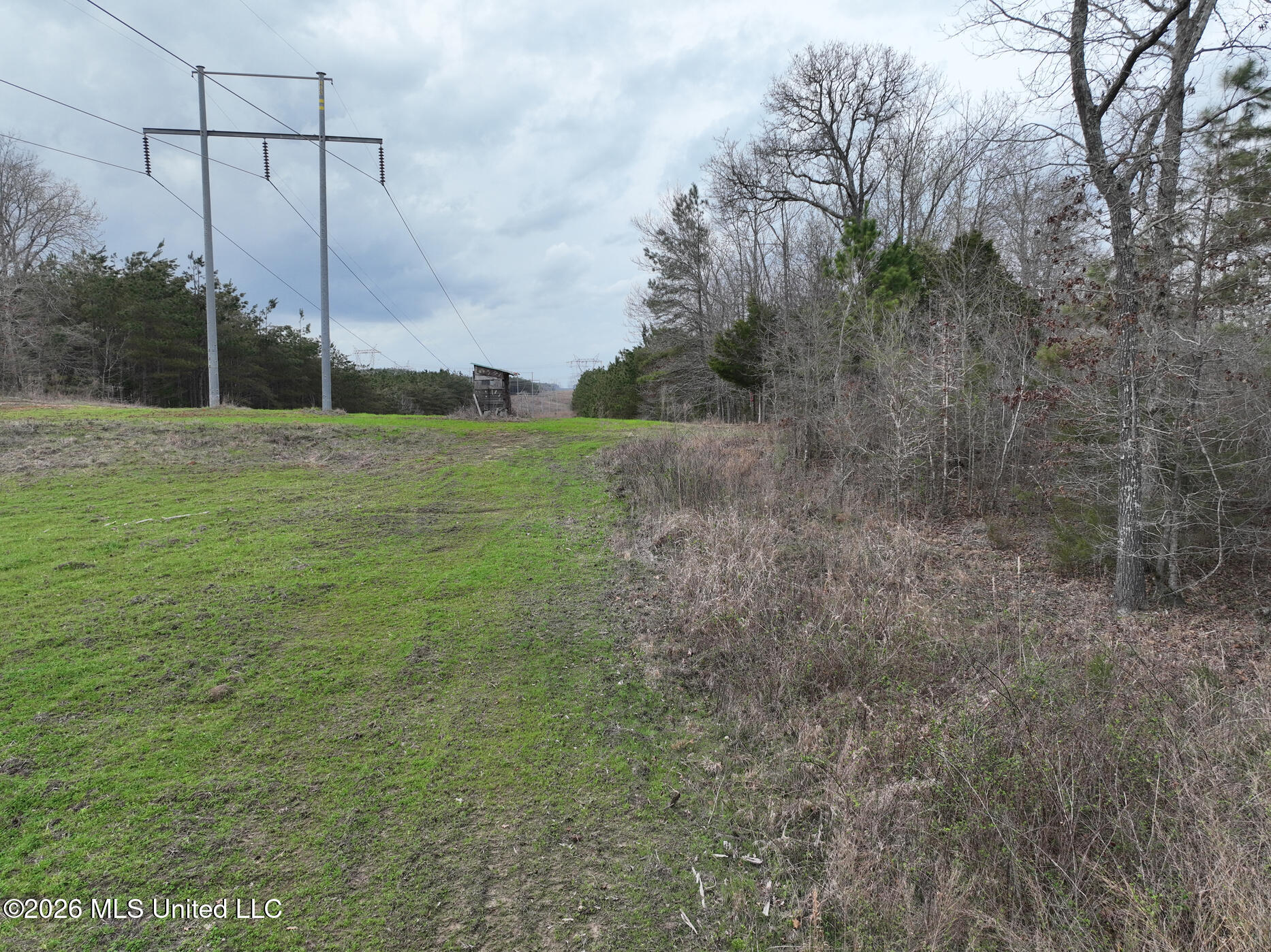 1177 County Road 194 Property Photo 6