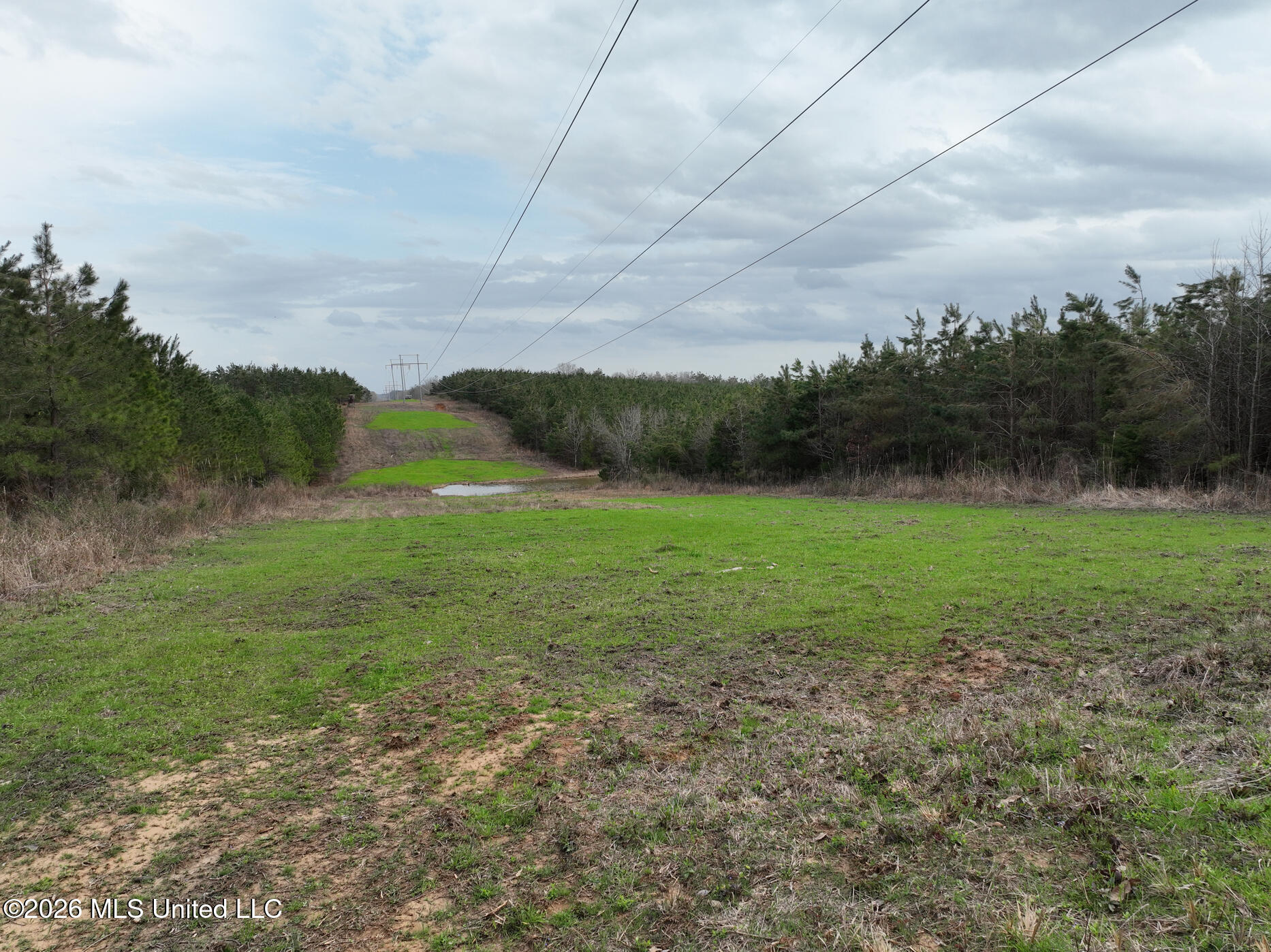 1177 County Road 194 Property Photo 7