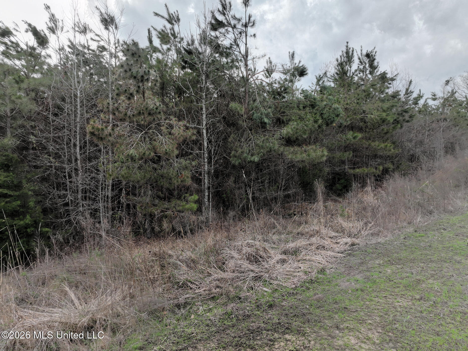 1177 County Road 194 Property Photo 8