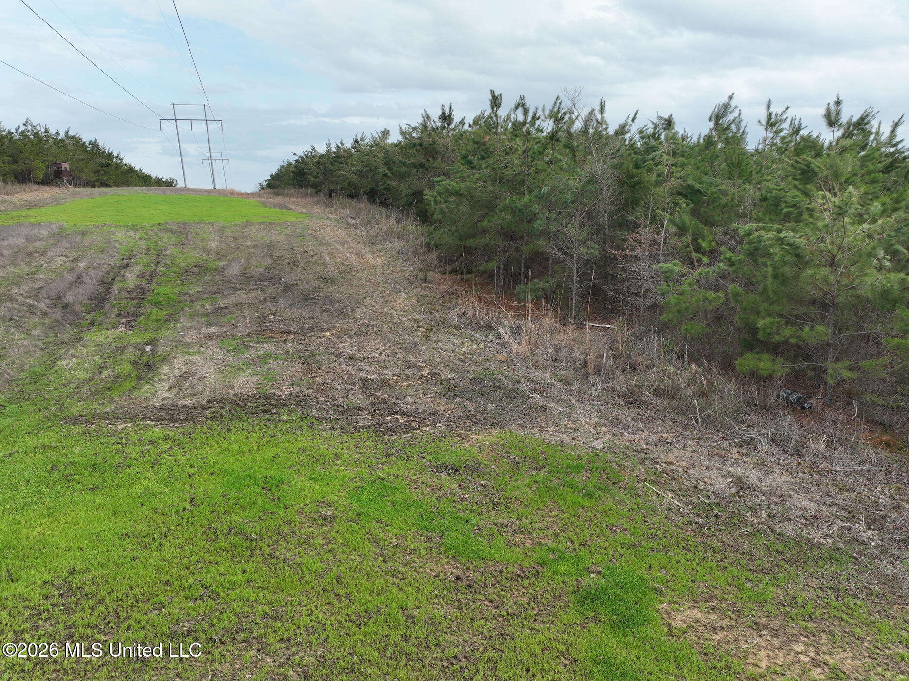 1177 County Road 194 Property Photo 10