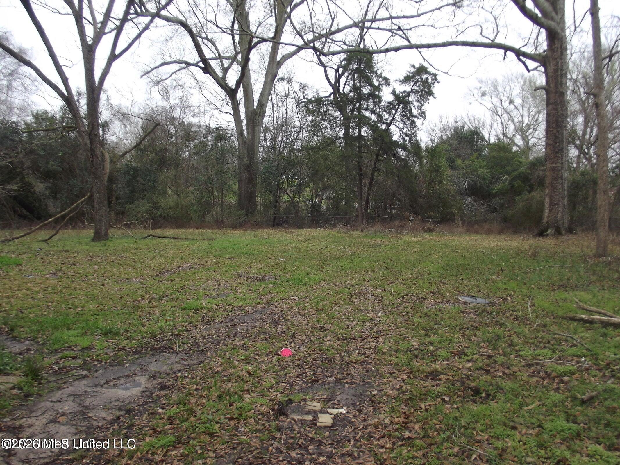 132 Mount Carmel Drive Property Photo 8