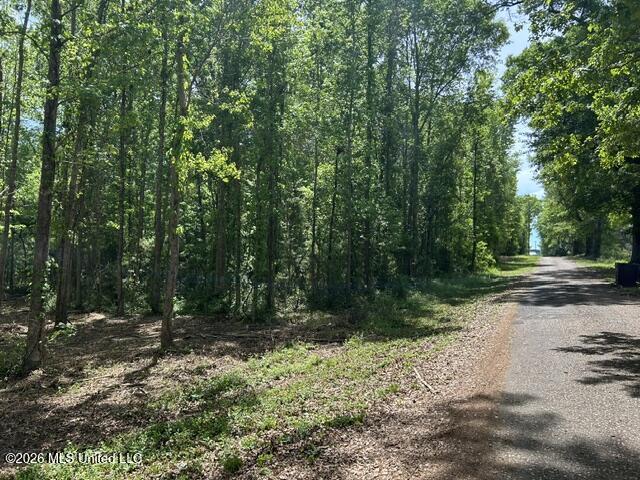 Parcel 3 Stovall Lane