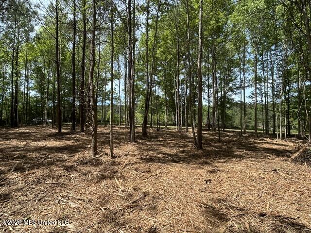 Parcel 3 Stovall Lane Property Photo 3