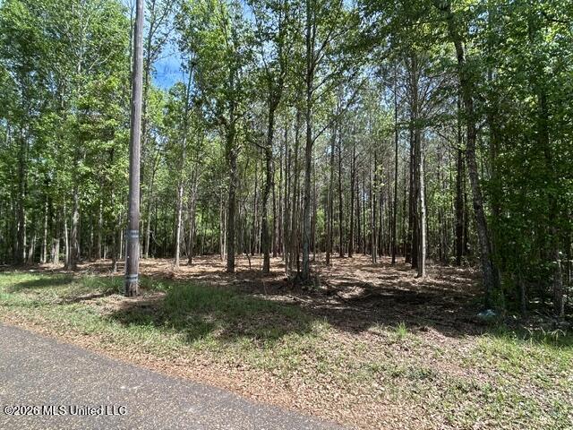 Parcel 3 Stovall Lane Property Photo 6
