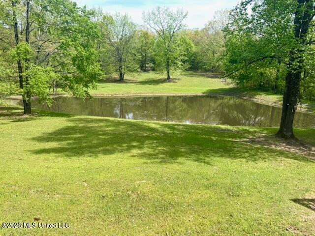 349 W Cox Road Property Photo 3