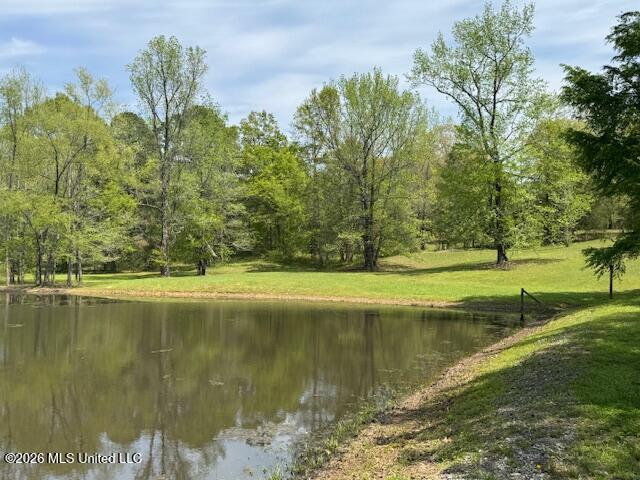 349 W Cox Road Property Photo 16