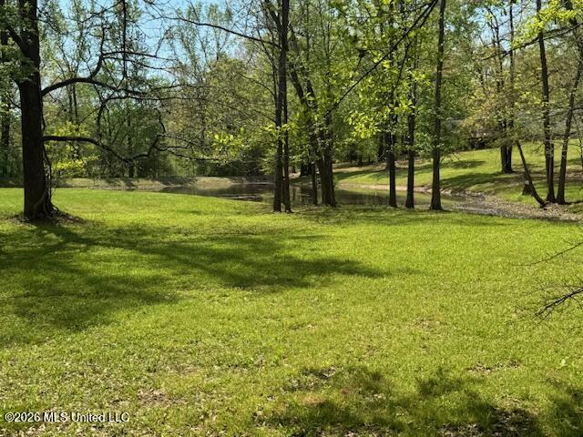 349 W Cox Road Property Photo 17