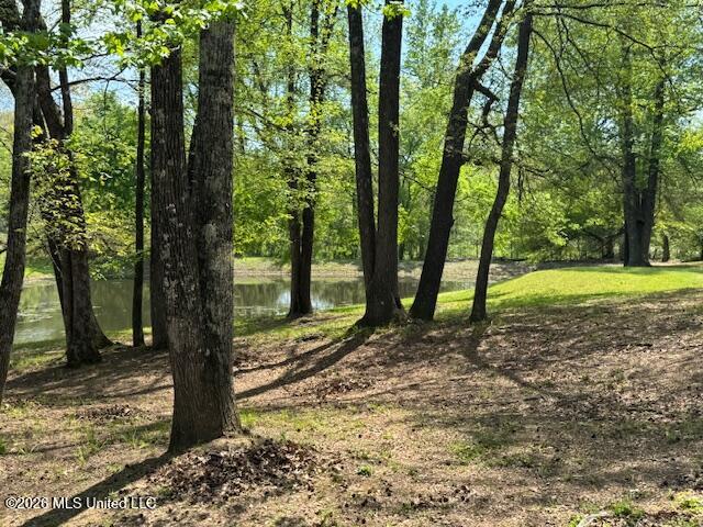 349 W Cox Road Property Photo 21