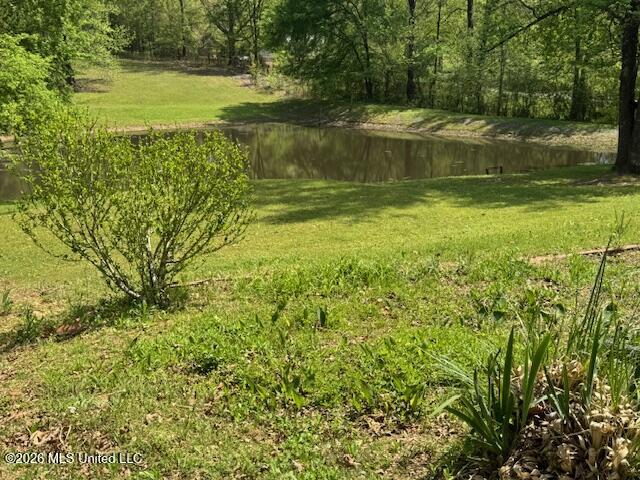 349 W Cox Road Property Photo 24