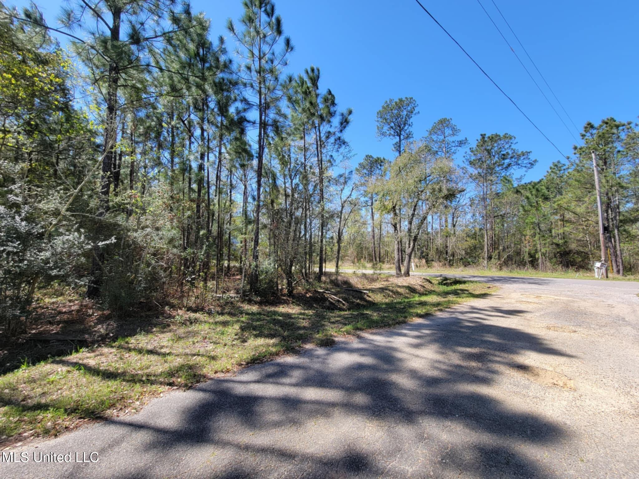 Lot 13 Red Street Property Photo 7