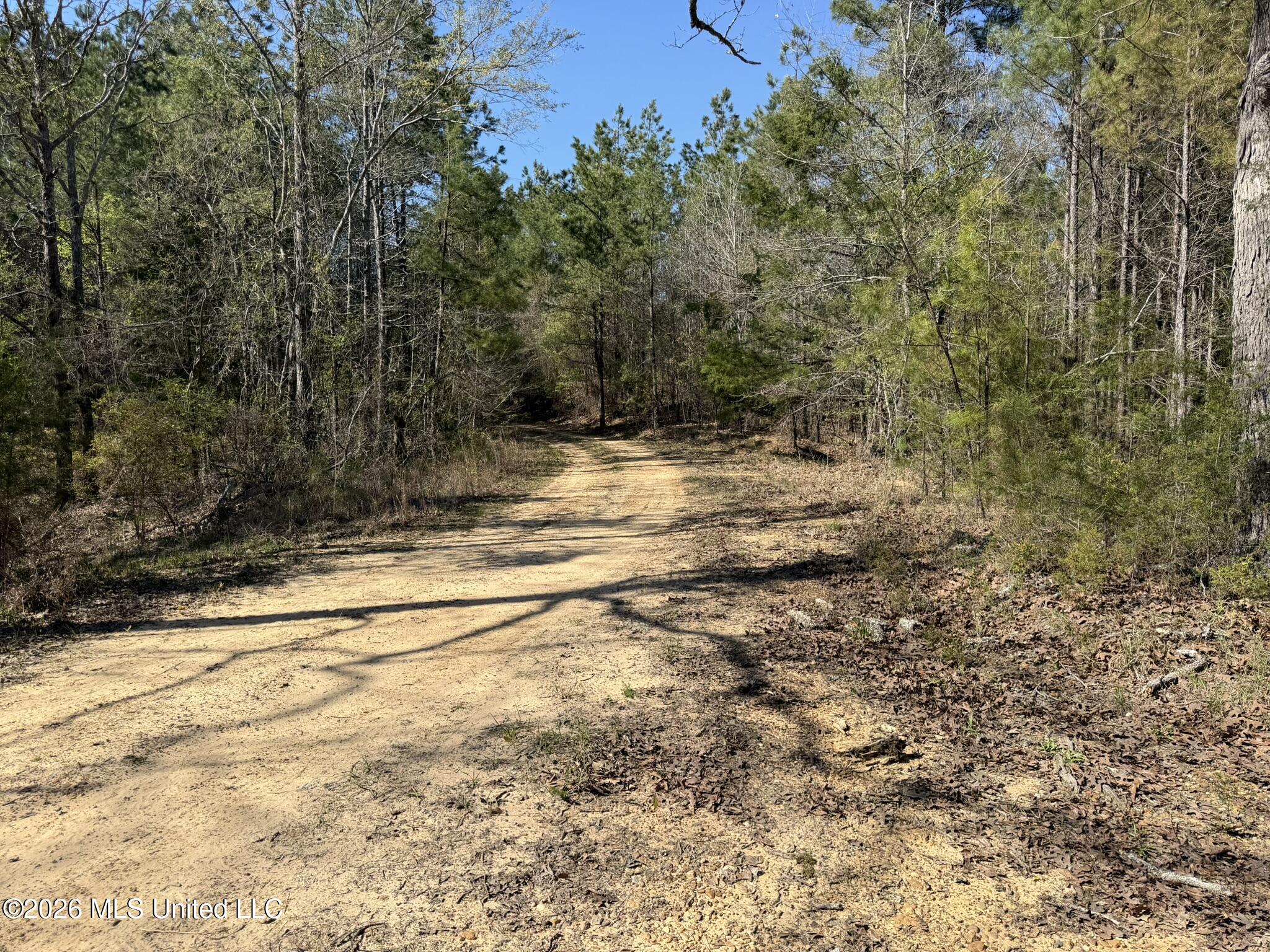 County Road 4103 Property Photo 2