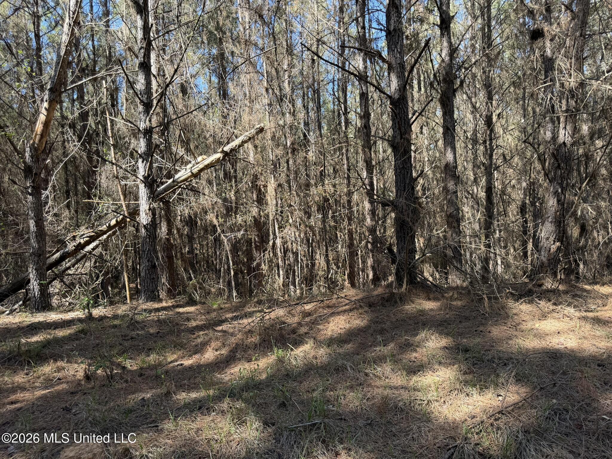 County Road 4103 Property Photo 3