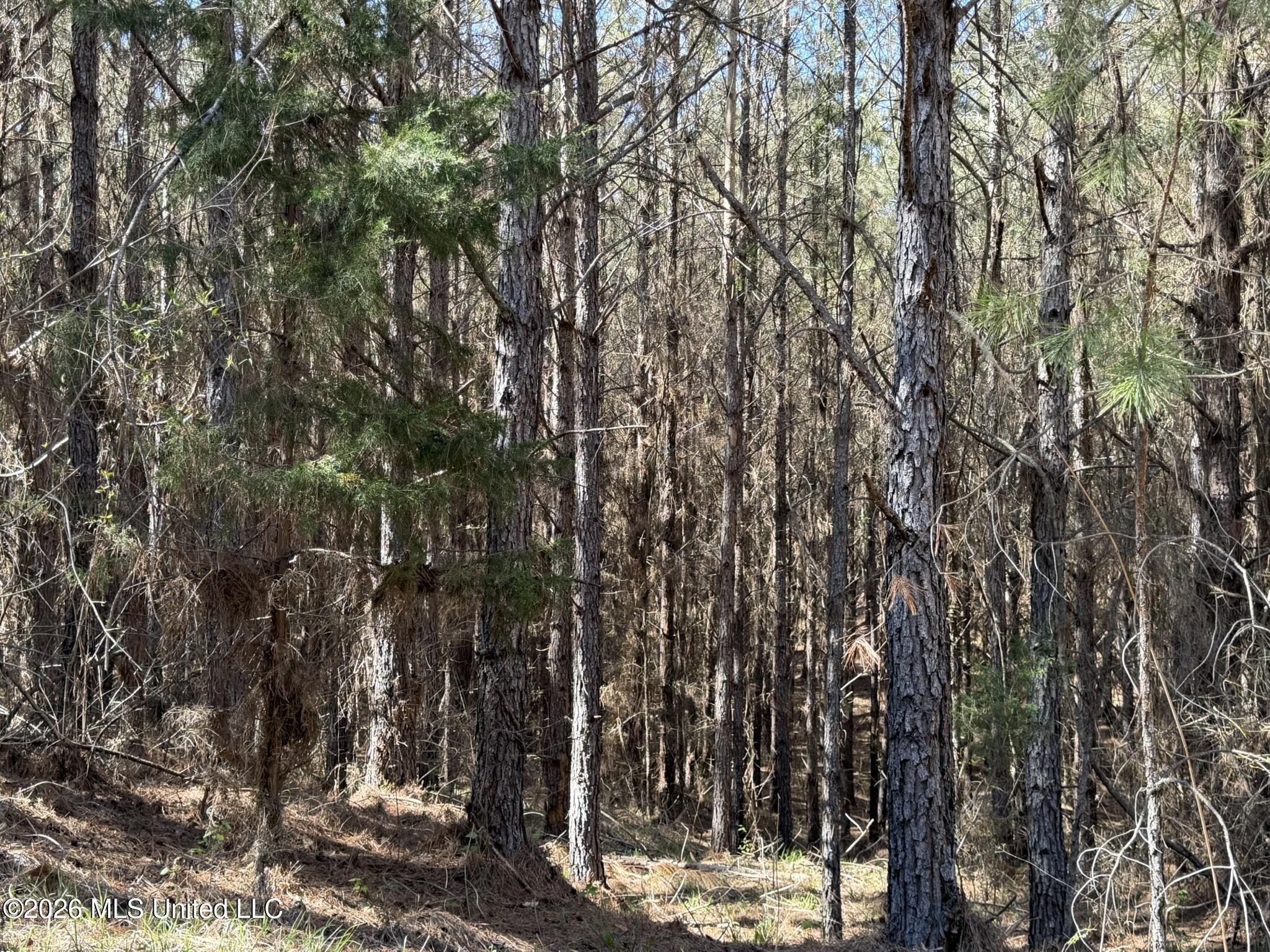 County Road 4103 Property Photo 4