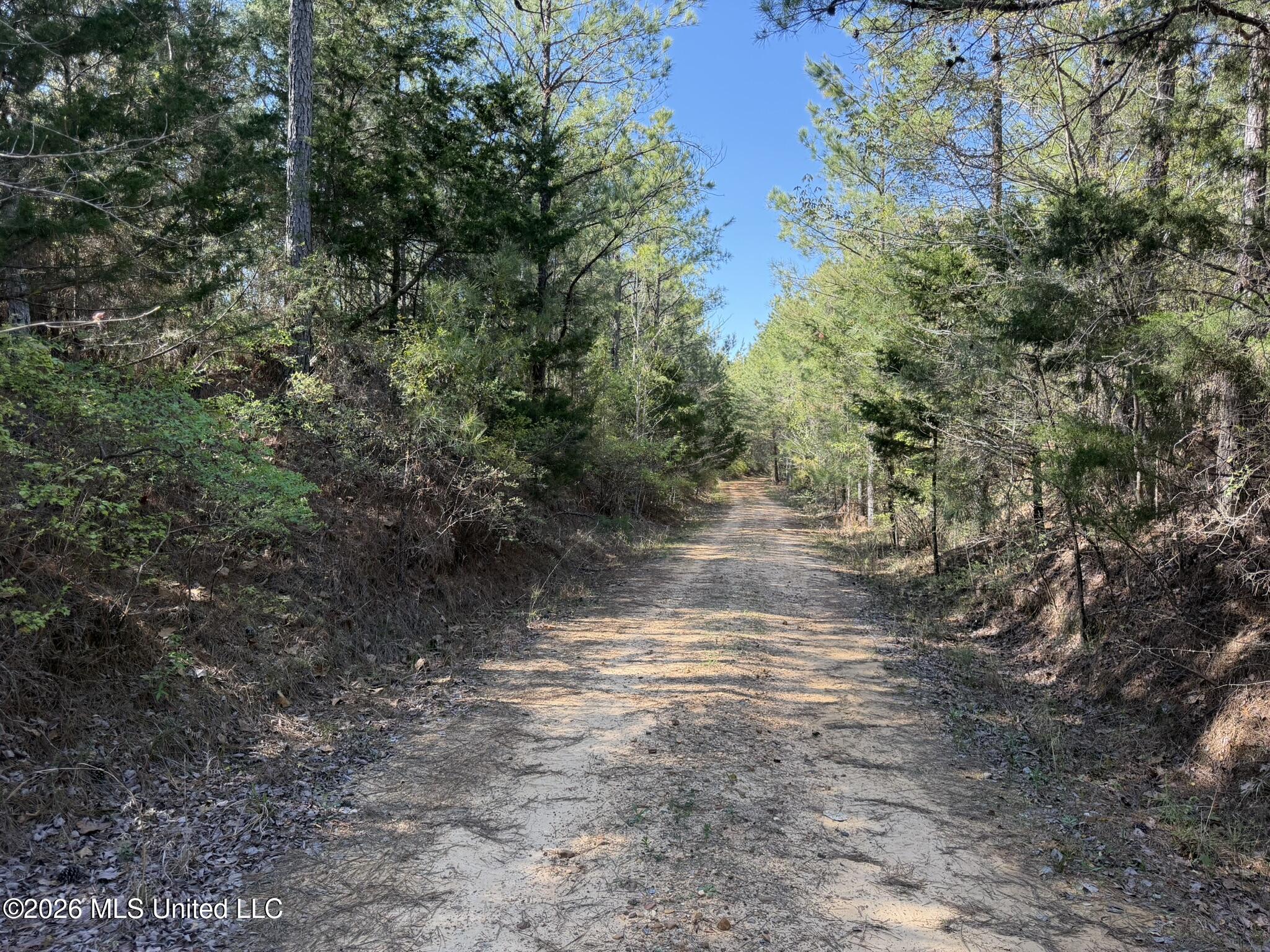 County Road 4103 Property Photo 7