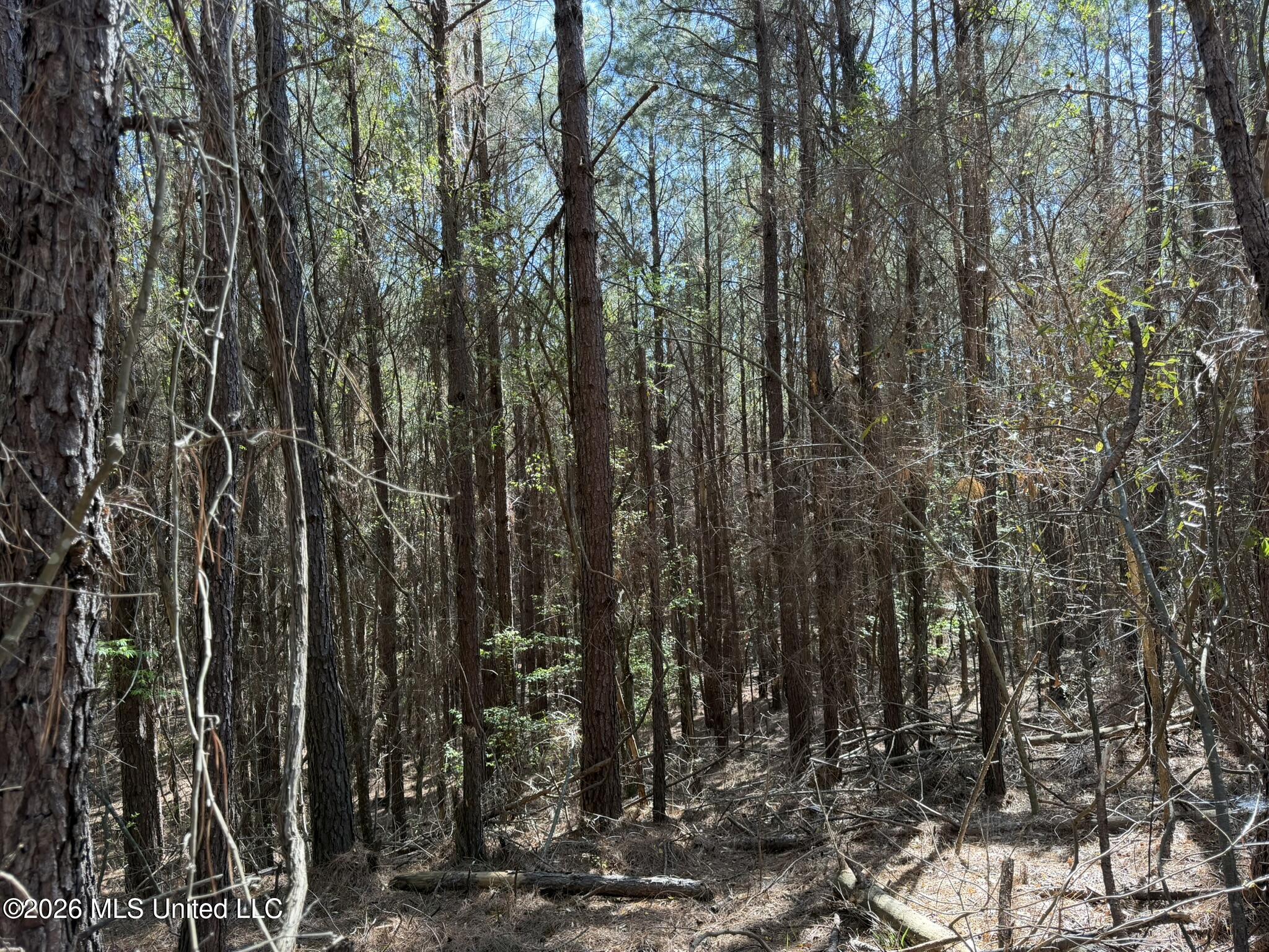 County Road 4103 Property Photo 9