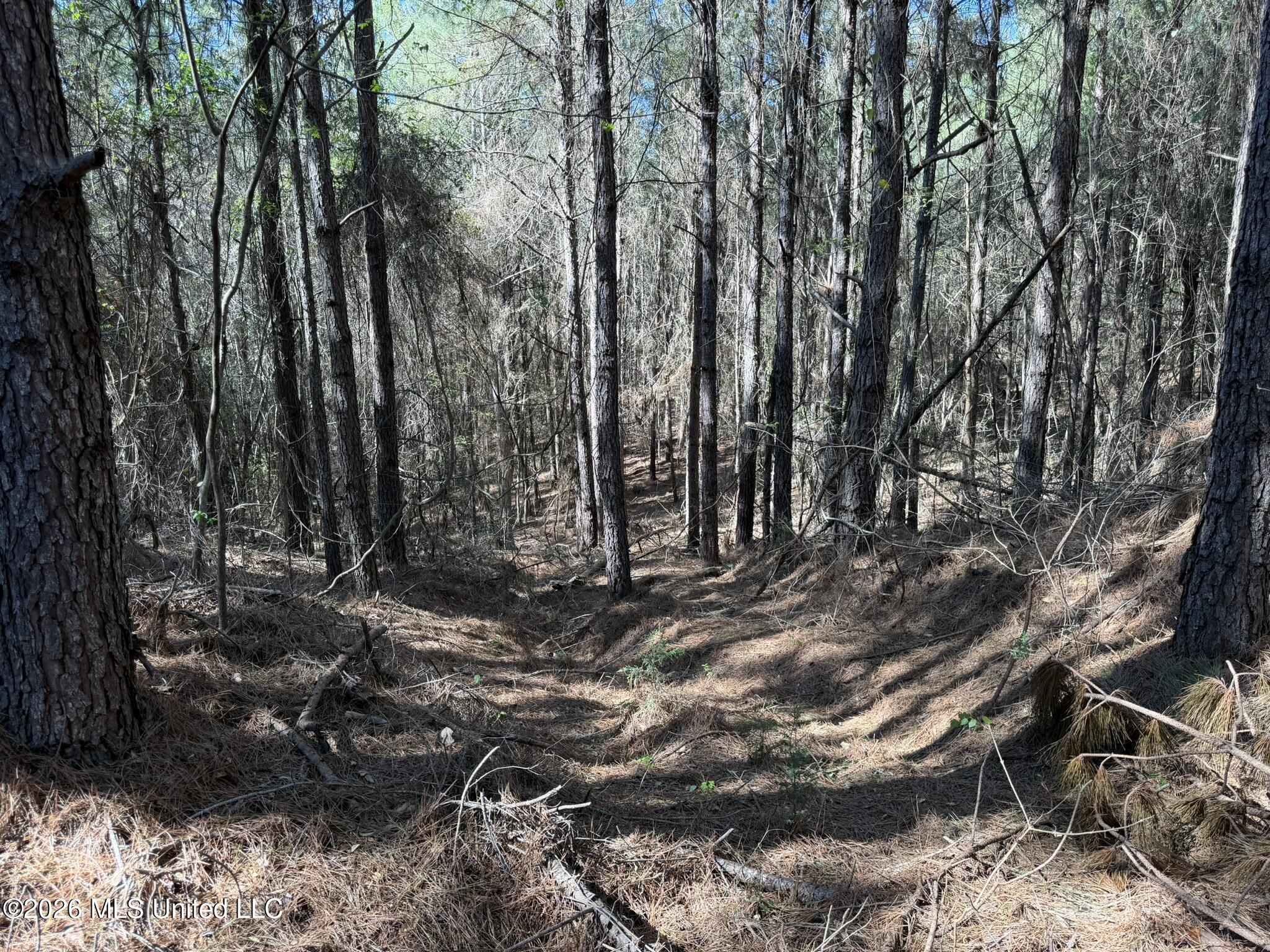 County Road 4103 Property Photo 10