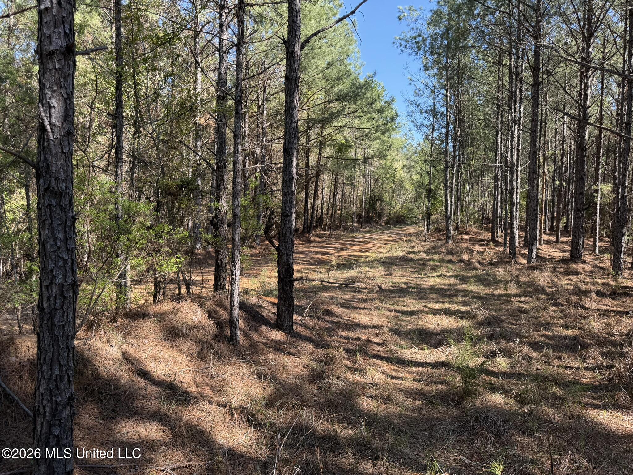 County Road 4103 Property Photo 11