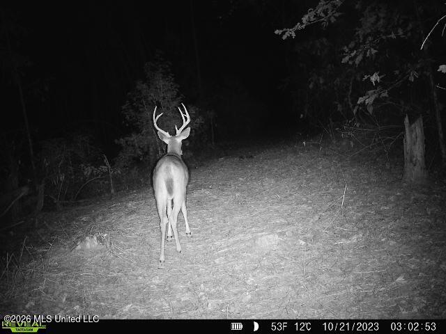 County Road 4103 Property Photo 15