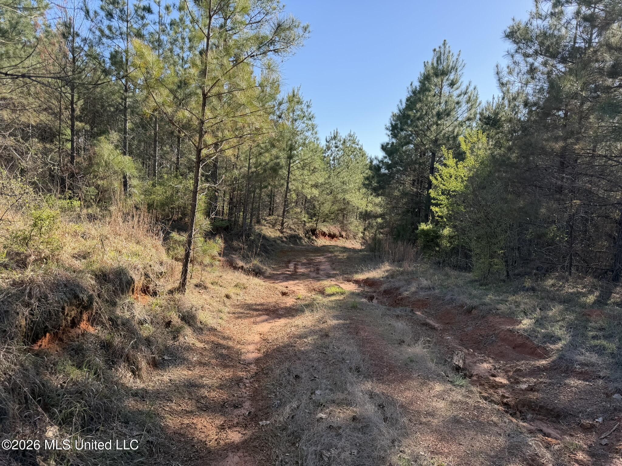 Co Rd 5005 Property Photo 1