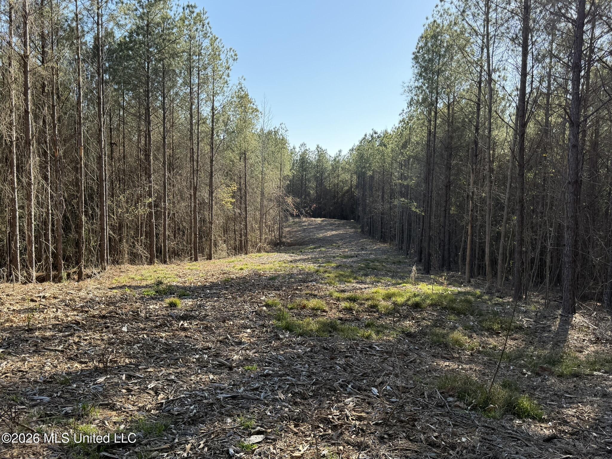 Co Rd 5005 Property Photo 2
