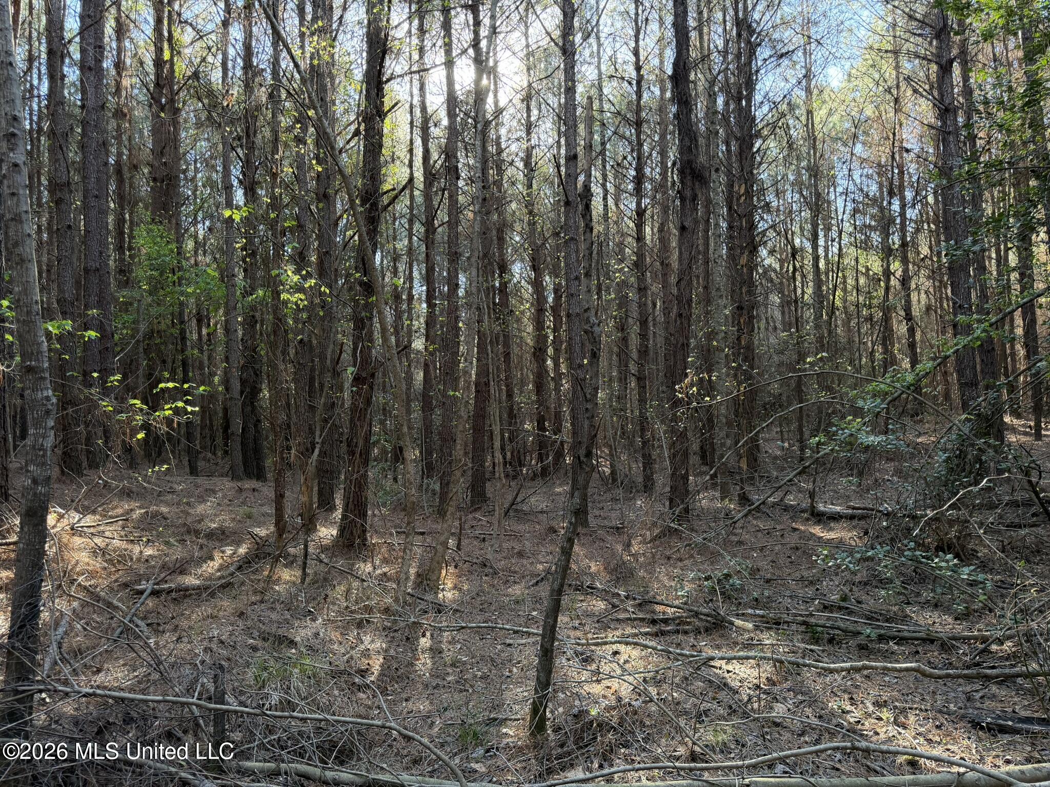 Co Rd 5005 Property Photo 3