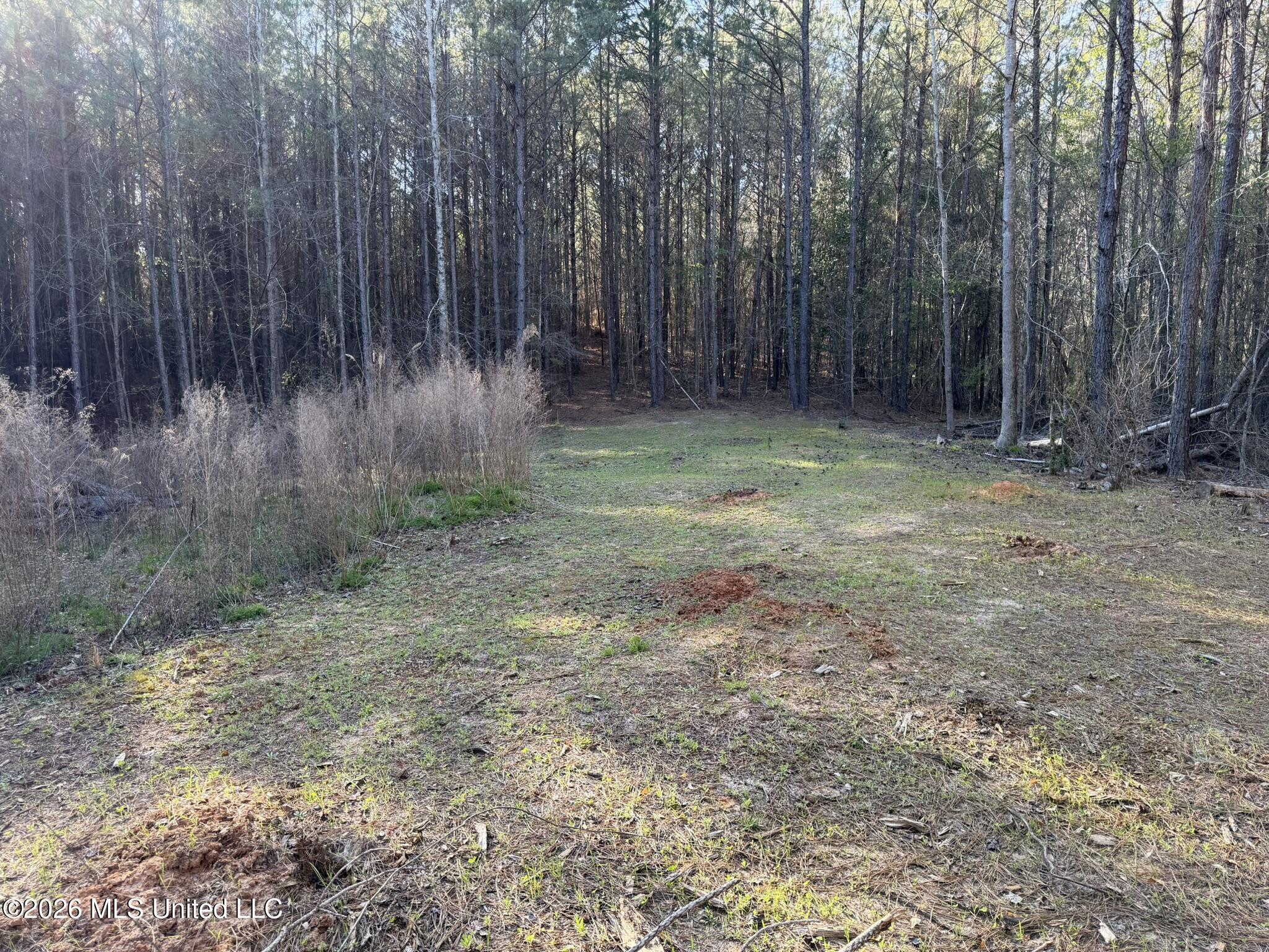 Co Rd 5005 Property Photo 4