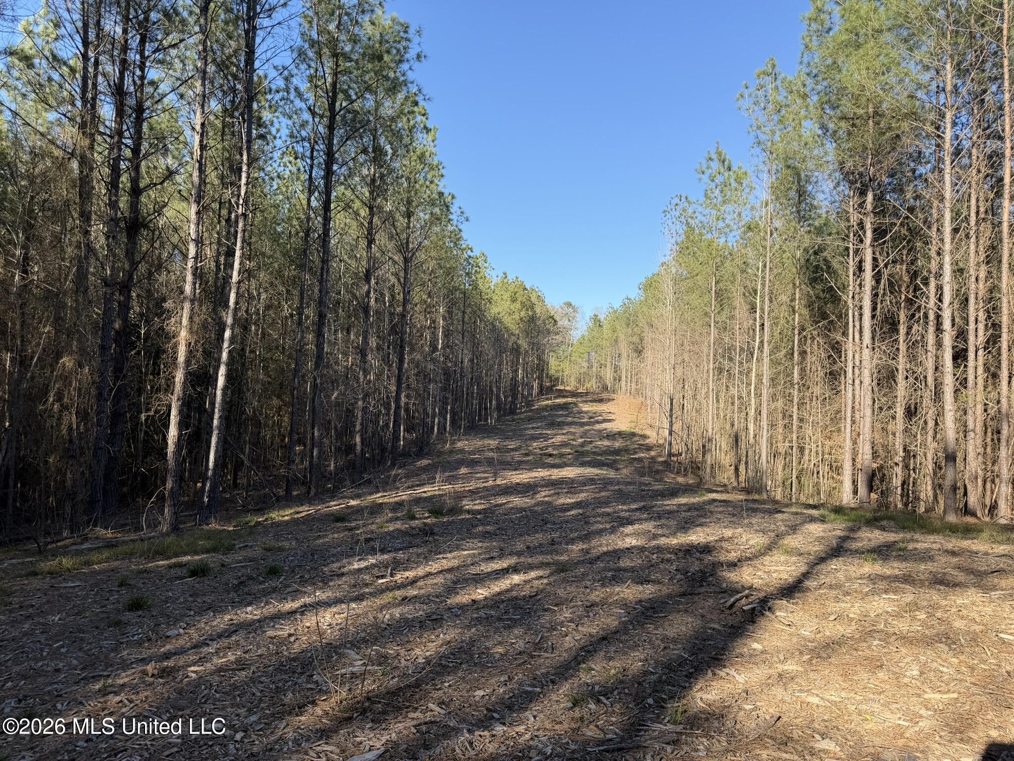 Co Rd 5005 Property Photo 5