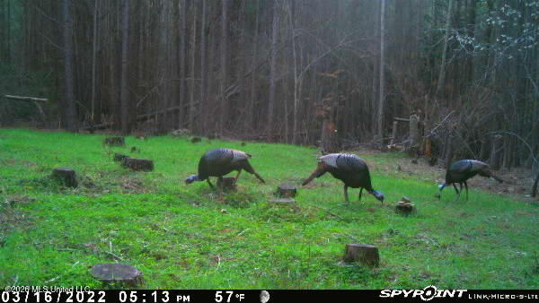 Co Rd 5005 Property Photo 6