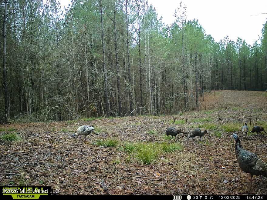 Co Rd 5005 Property Photo 7