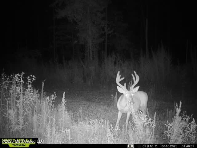 Co Rd 5005 Property Photo 9