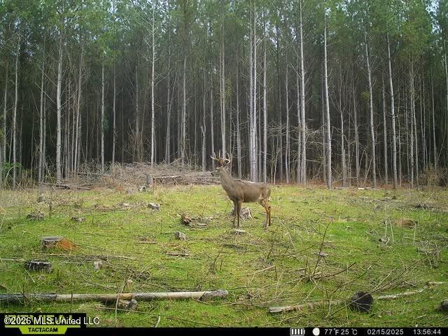 Co Rd 5005 Property Photo 10
